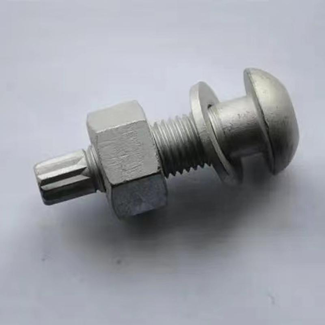 Galvanized Fasteners Screws Screw and Nut